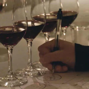 Deltagare i vinkurs gör anteckningar kring vinets smak, doft och utseende