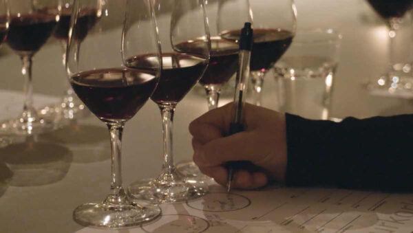 Deltagare i vinkurs gör anteckningar kring vinets smak, doft och utseende